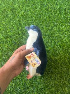 Korimco 22cm Little Penguin Kids Soft Animal Plush