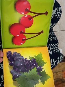 Waterproof Fruit Book