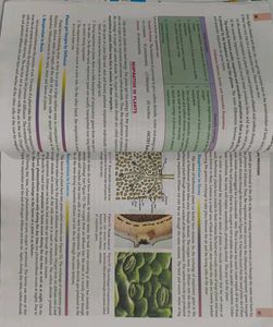 LAKHMIR SIngh Science 10th Class Bio And Chem