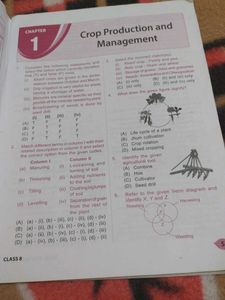 NSO Olympiad Workbook Class 8