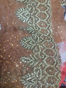 Elegant Embellished Saree