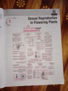 Class 12 Textbook Bundle