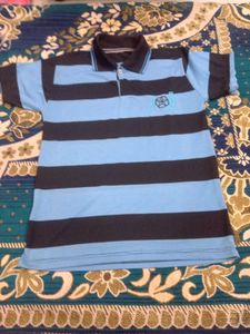 Striped Polo Shirt