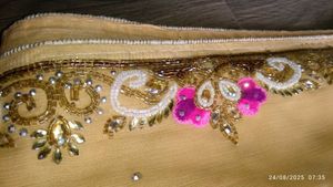 Elegant Embellished Saree