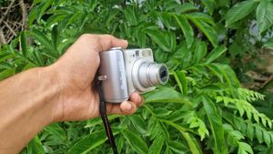 Canon PowerShot A520
