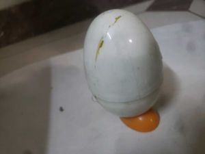 Microwave Egg Boiler