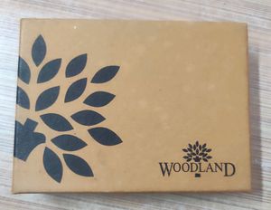 WOODLAND Men Brown Genuine Leather Wallet