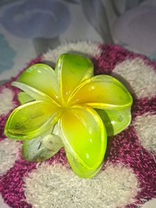 Flower Hair Clips (Set of 3)