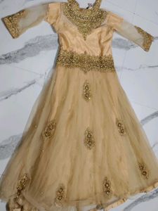 Elegant Ethnic Gown