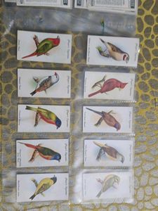 Vintage Bird Cards