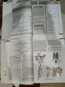 Modern Biology Class XI (Parts I &amp; II)