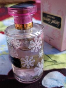 Dorall collection Perfume