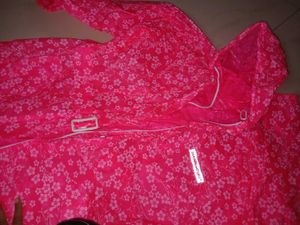 Pink Floral Saree