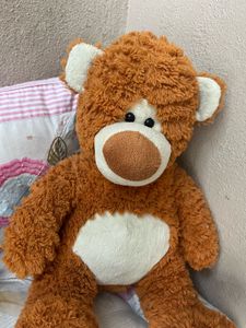 Teddy Bear Toy