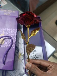 Golden Rose 🌹 For Valentine Day