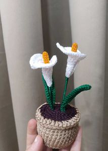 Crochet Calla Lily Plant