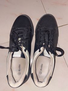 Zudio Canvas look shoes