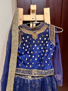 Pretty Blue Embellished Lehenga Choli