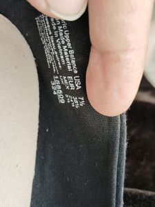 American Eagle 🦅ballies