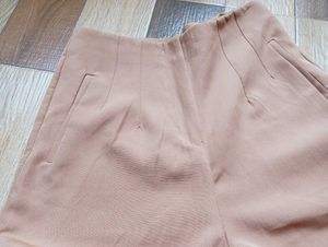 Elegant Beige formal Pants