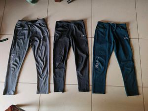 6 Gym Laggings For Girls 🚫 No Coin