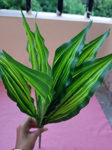 Leaf Bunches