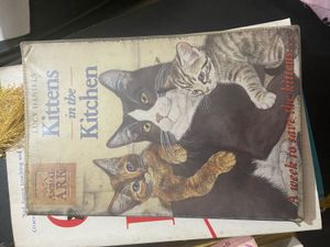 Kittens in the Kitchen