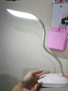 Electric Study Lamp