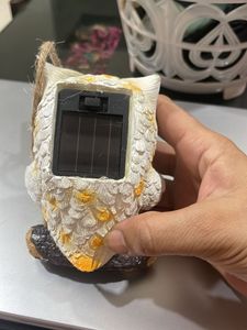 Owl Decor