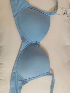 Ginger Branded Bra Size_32B, Light Blue Colour, Light Padded Bra Very Smooth