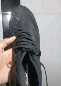 Adidas Predator Sport Shoes