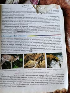 Class 10 Cbse Biology Book