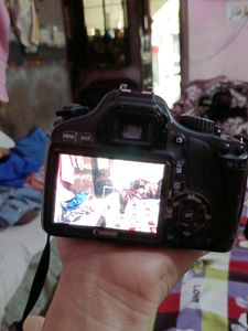 Professional Canon D 550 Canera