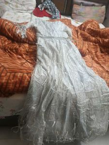 Elegant Silver Embellished Gown