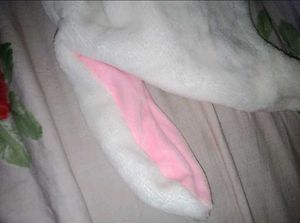 Cute Movable Bunny Ears Headwear