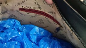 Beautiful Hand Bag