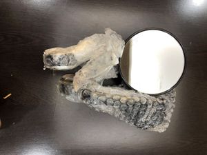 Rear View Mirrors for Royal Enfield