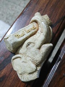 Fridge Magnet But No Magne