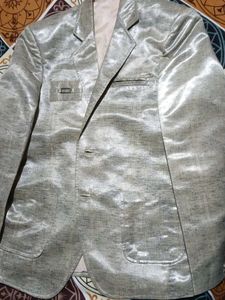 Unique Silver/Beige Blazer