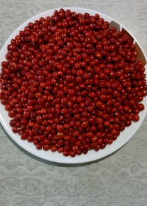LUCKY RED SEEDS  / MANJADI SEED