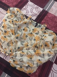 Floral Organza Sheer Sleeve Top