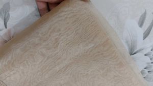 🤗 Light Weight Trendy Beige Saree