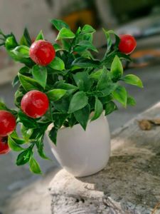 Pack Of 2 Artificial Cherry Plant