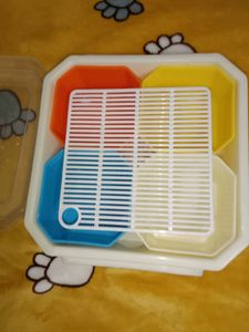 Serving Box/Tray