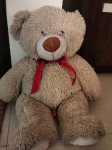 Large Plush Teddy Bear