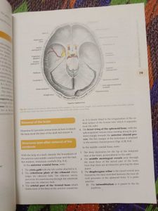 Anatomy Textbook