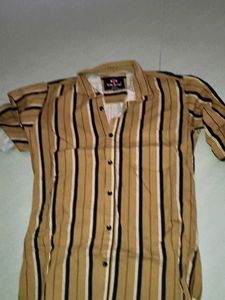 Striped Short Sleeve Button-Down