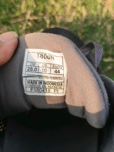 Asics Gel Nimbo 20