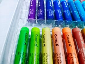 New Camlin Artist Grade Oil pastels 50 Shades