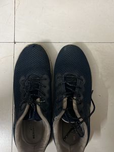 Campus Shoes